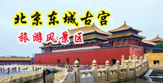 女生自慰，和男人互操，可以看的软件中国北京-东城古宫旅游风景区